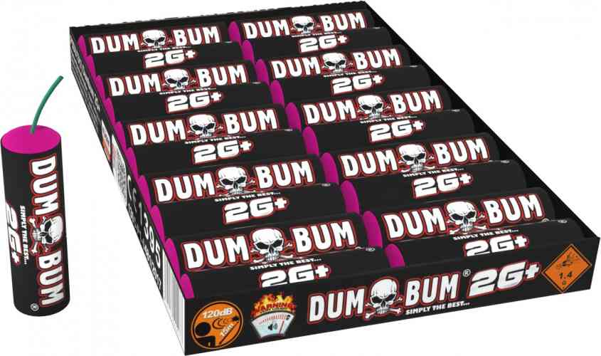 521-Dumbum 2G+(P1) - obrázok